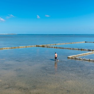 #01 - Toby Smith from Climate Visuals