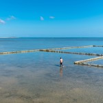 #01 - Toby Smith from Climate Visuals