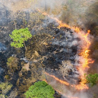 #05.2 - Sean Gallagher - Photographer and Film-maker