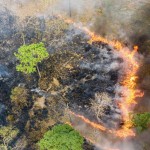 #05.2 - Sean Gallagher - Photographer and Film-maker